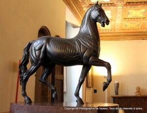 Palazzo Vecchio - Florence.  Écorché de cheval en bronze. XVIIIe siècle. 